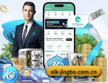 竞博体育 APP 深度功能